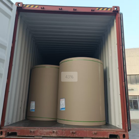 原木卷纸、纸张可以走集装箱海运吗，，，，，需要注重什么？？