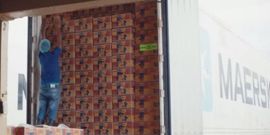 Z6·尊龙凯时「中国区」官方网站